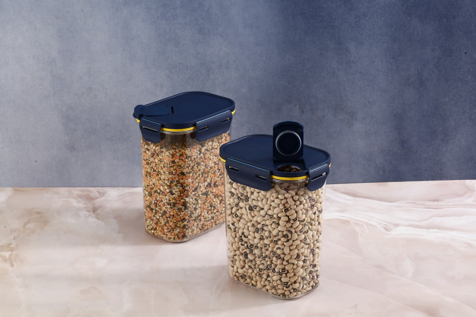 Binzy Storage Container